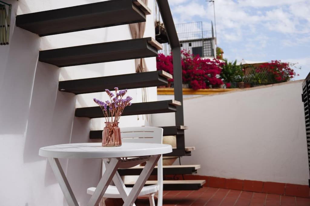 Ferienhaus Casa Marcur Santa Cruz *